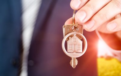 Pourquoi les maisons en bois pourraient sauver votre quartier… et la planète!