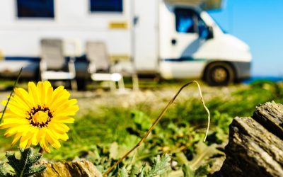 Vivre en Caravane : Opportunité éco-responsable ou simple mode passagère ?