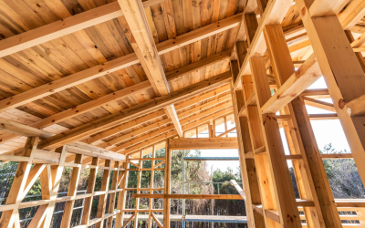 Dix raisons d’adopter une maison bois écologique performante en 2024